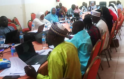 Validation des Textes de l’Observatoire National de Santé du Niger (ONS)